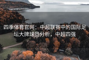 四季体育官网：中超联赛中的国际足坛大牌球员分析，中超四强