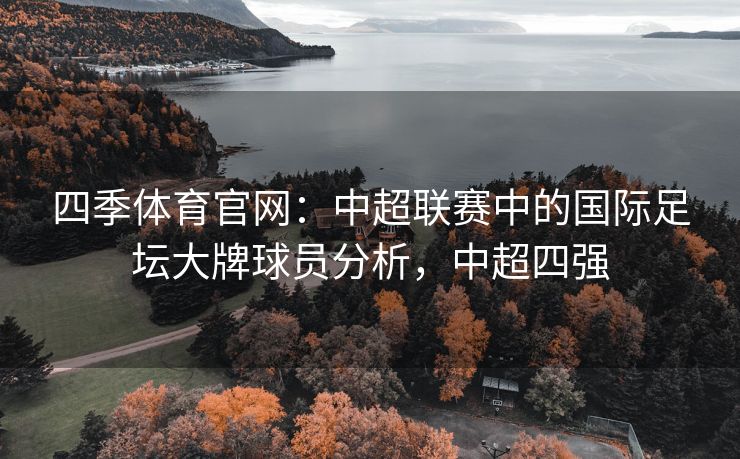 四季体育官网：中超联赛中的国际足坛大牌球员分析，中超四强