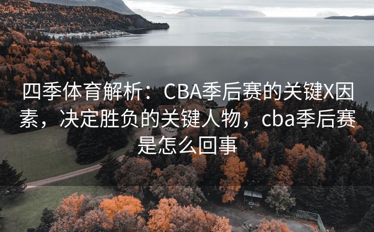 四季体育解析：CBA季后赛的关键X因素，决定胜负的关键人物，cba季后赛是怎么回事