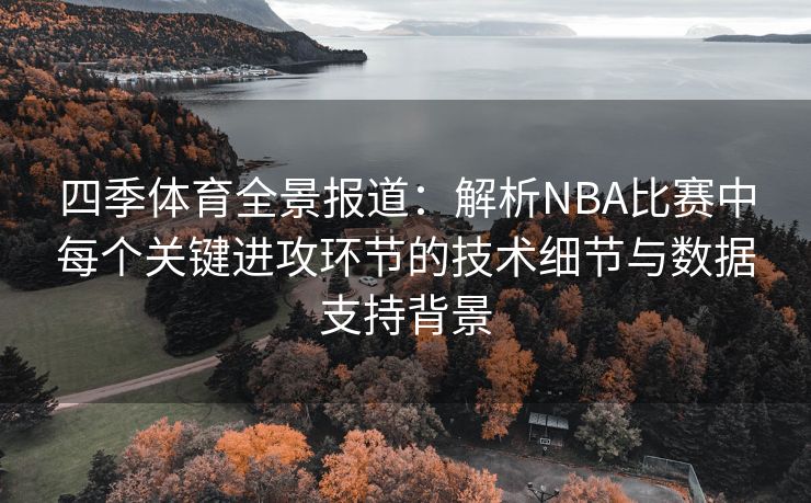 四季体育全景报道：解析NBA比赛中每个关键进攻环节的技术细节与数据支持背景