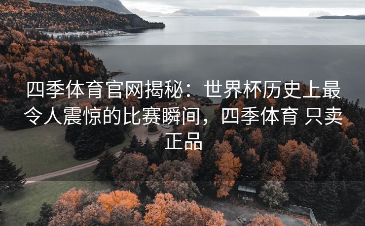 四季体育官网揭秘：世界杯历史上最令人震惊的比赛瞬间，四季体育 只卖正品